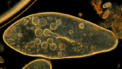 别在门口放“门垫”了,土气又脏!学学年轻人的布置,美观又实用