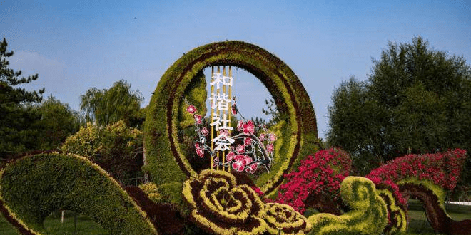 杭州|“康巴什之秋” 颇有姿色,最令人向往的城市,带你一起去看秋色