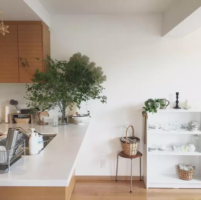 越简单,越快乐!北海道女作家75㎡复古之居,简单的生活很精彩