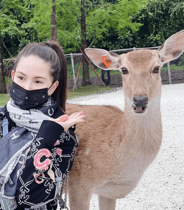 昆凌|昆凌挺孕肚合影小鹿,大眼迷人,难怪17岁就被周杰伦当女儿来宠