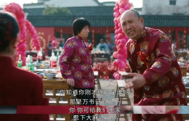 《幸福到万家》播放过半,最令人讨厌角色出炉,干的事个个离谱