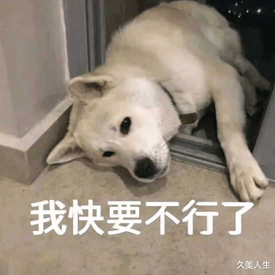 咖啡 年轻气盛?人家后浪护肤品们有的是资本