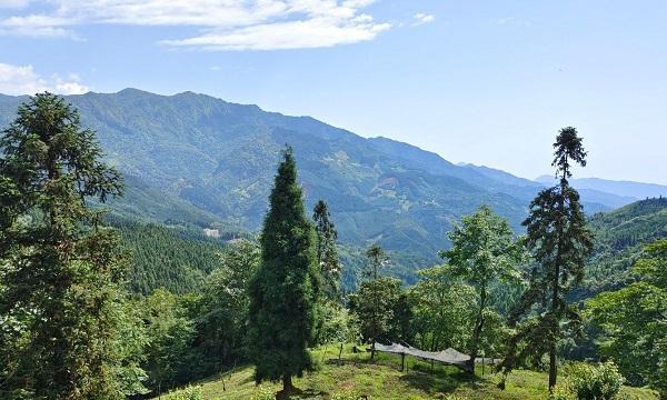 海口|五彩缤纷的四川“小城”，位置得天独厚，元旦去看看正合适