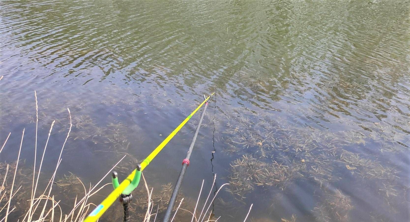 |到底降温之后，还能不能钓鱼？