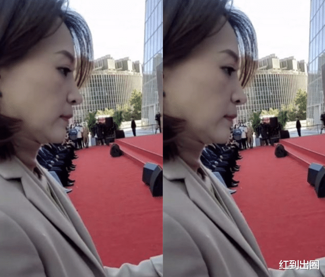 董卿|48岁董卿近况曝光显疲惫，皮肤松弛下巴变胖，老公被曝失联1个多月