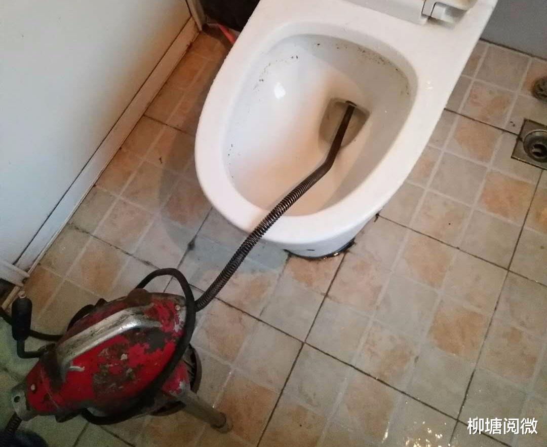 卫生纸会堵住马桶吗？果皮可否扔进马桶？看内部构造知晓答案