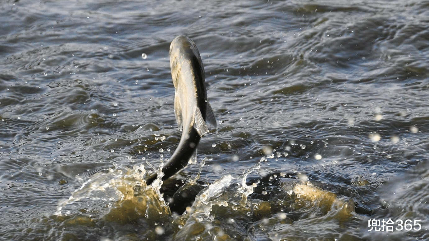广东省|广东一男子火了，跑到地下车库去钓鱼，直接颠覆了常人的认知