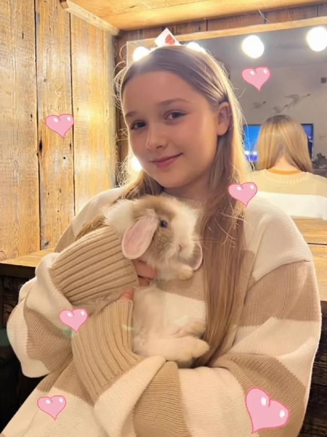 朱一龙|17岁囧三登封面让人欣赏不来；网友：浪费小贝的好基因，惨不忍睹