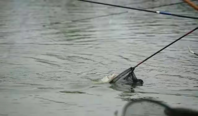 |喜欢钓鱼的你可知道鱼一般藏在什么地方吗？