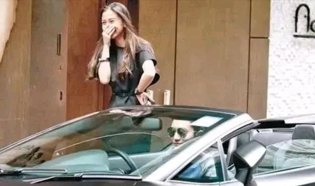 Angelababy|你要知道：嫩模Angelababy和85花杨颖是两个人