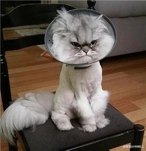 盘点这6个好看不好用的设计,卧室单控灯着实不好用,白话好多钱