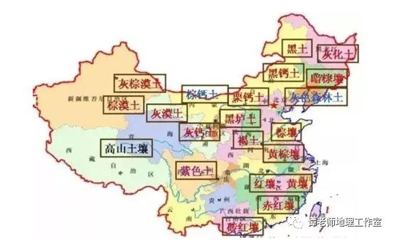 土壤到底是什么?又有什么分布特点呢?附中国土壤的分类及分布!