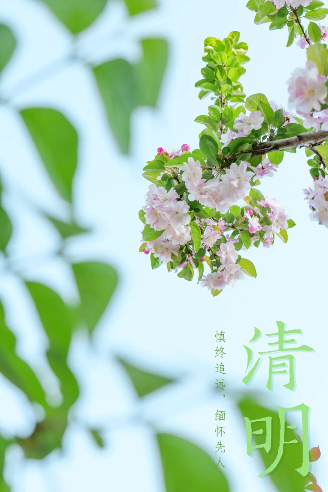 穷游|河南旅游：清明时节，郑州绿博园内春意浓