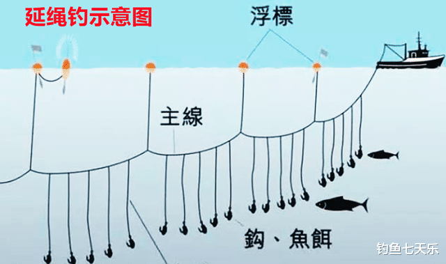 湖南|一根鱼线挂200多枚鱼钩!湖南一男子夜间钓鱼,把自己“钓”了进去