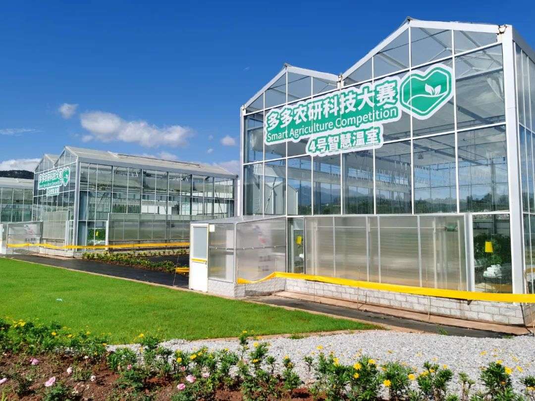 网络安全|拼多多越来越“土”, 智慧农业有多大搞头？