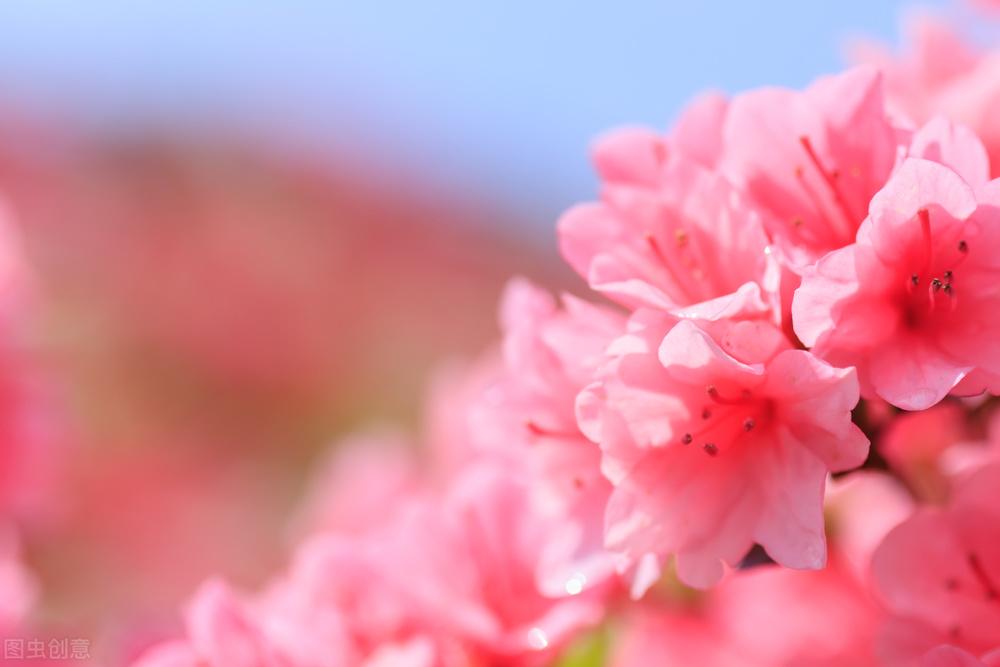 |郭进拴|神游宝天曼