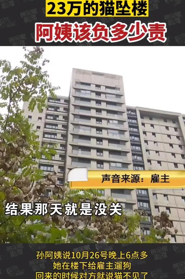价值23万猫坠楼保姆被追责,雇主扣除工资及买菜钱