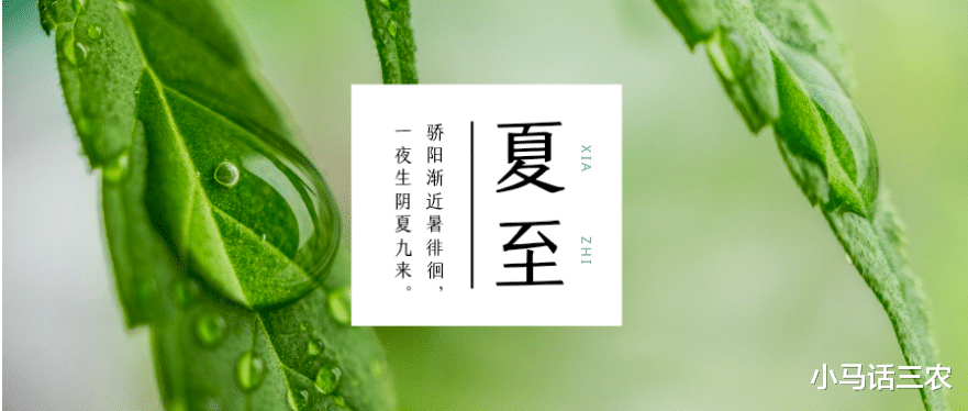 夏至将至,40天超长三伏天即将来袭,今年啥时候入伏?快来看看!