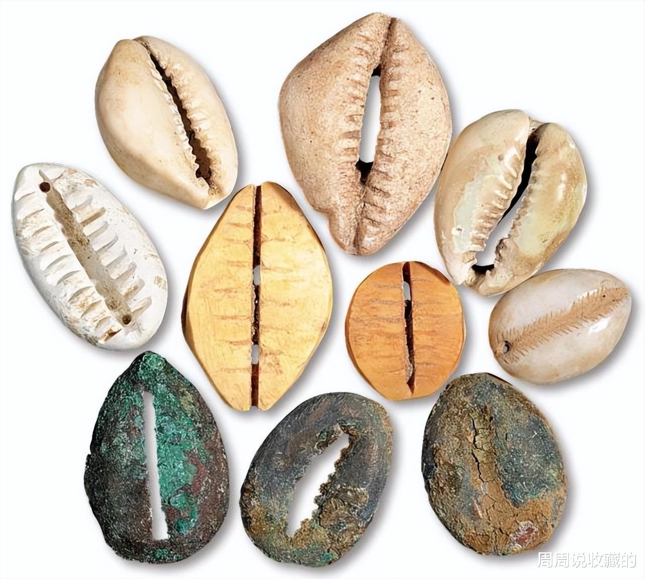 贝壳|汉字里面的古钱币文化