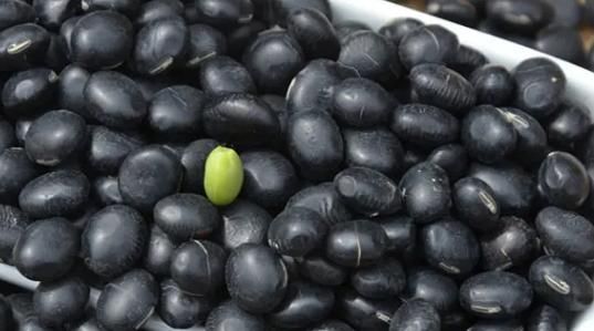 肾病|肾不好怎么办，4类食物建议少吃，多吃7种食物，或许对肾脏有益