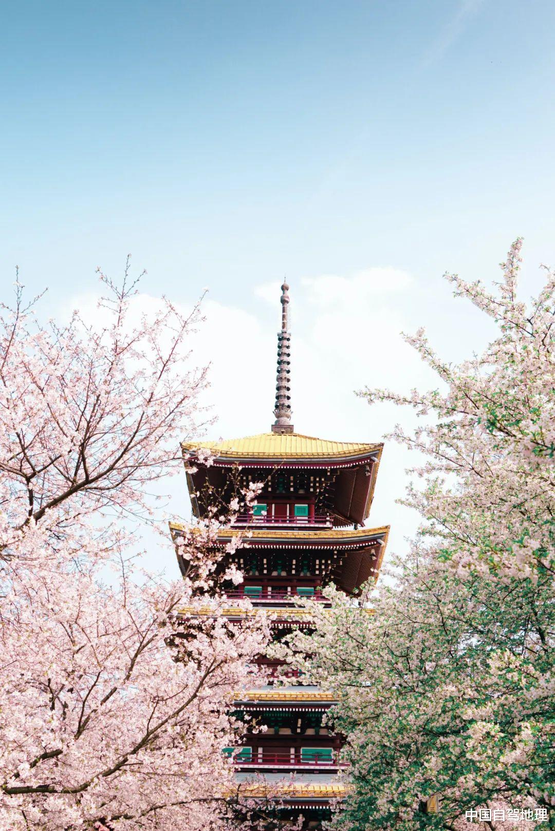 福州|被遗忘的宝藏级国道，从大海到高原，一路风景独好！|中国自驾地理