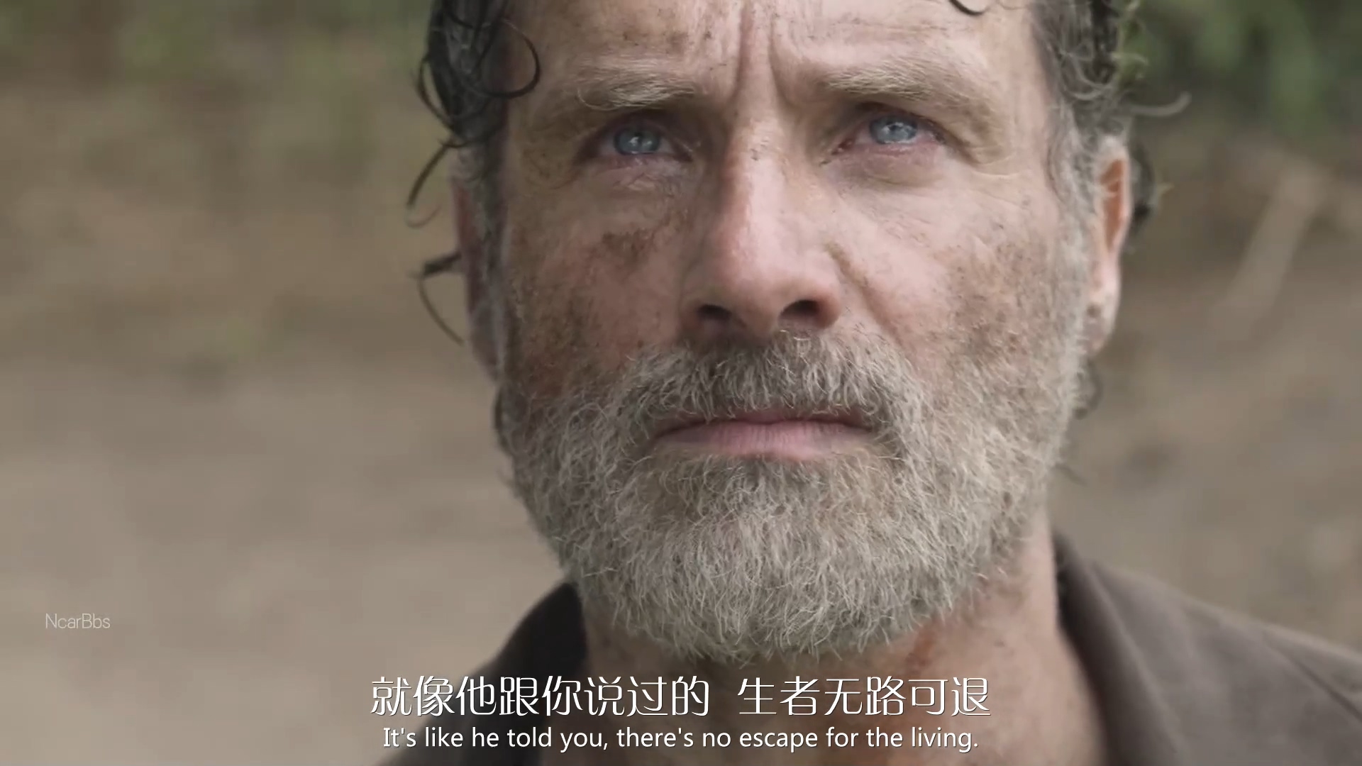 动感地带|《行尸走肉》S11E24：拥有彼此