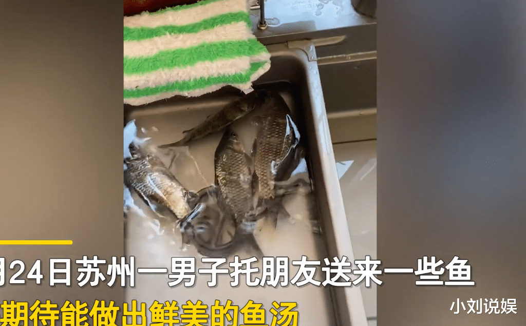 江苏苏州,一女子炖鲫鱼汤半小时仍如清水,发视频请教网友被群嘲。