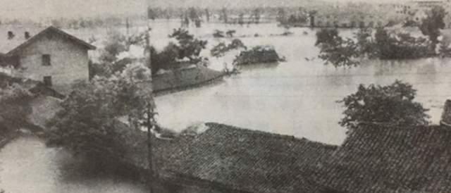 1983年安康水灾:洪水让蛇无家可归,遍地蛇群后来怎样了?