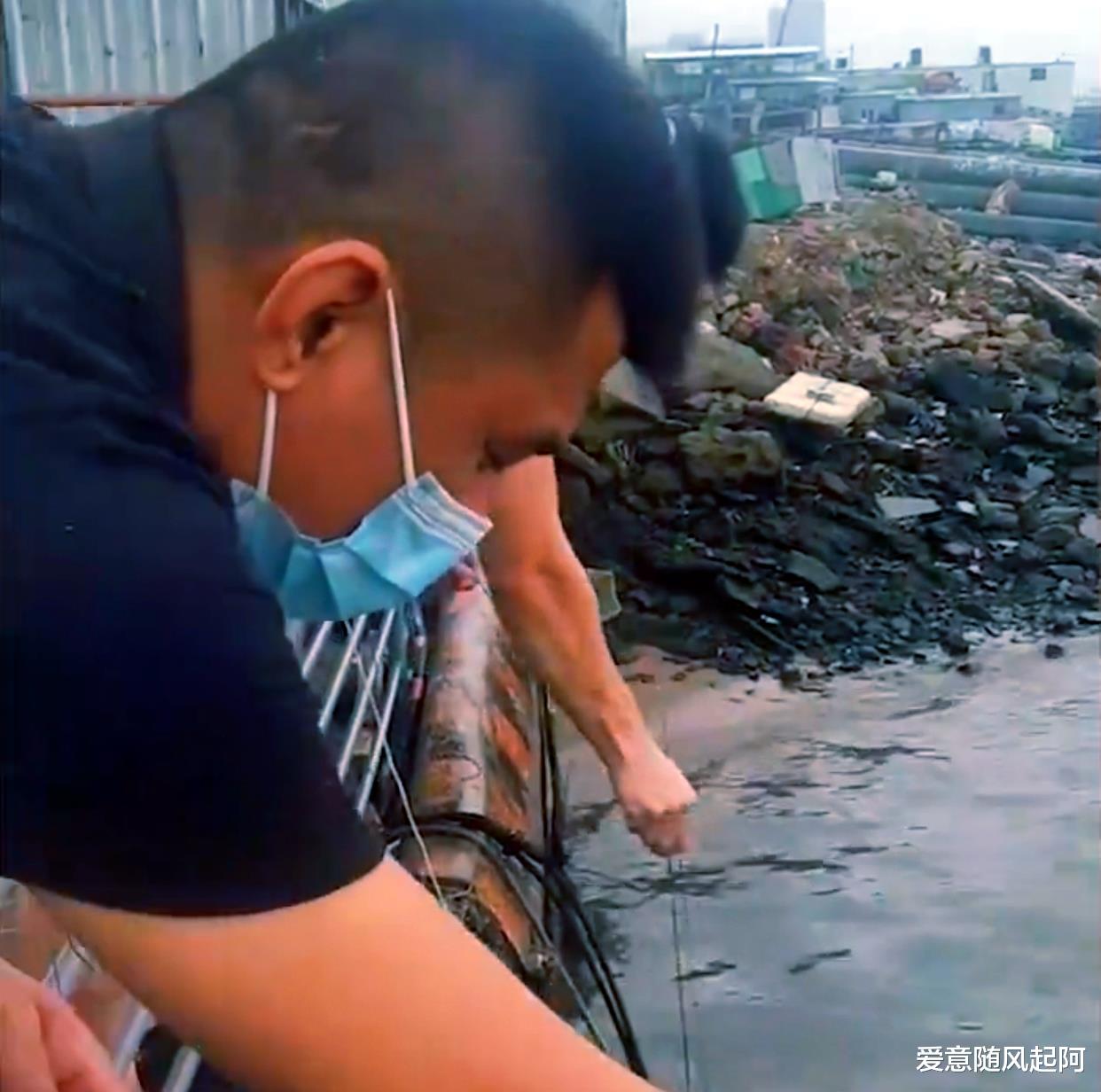 钓鱼上热搜了！广东一男子用塑料袋和面粉海钓，一拉绳子全场沸腾