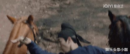 |真刺激!国产悬疑真的杀疯了