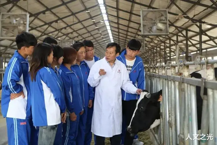 求职|名校毕业生求职当保姆,未来发展值得深思