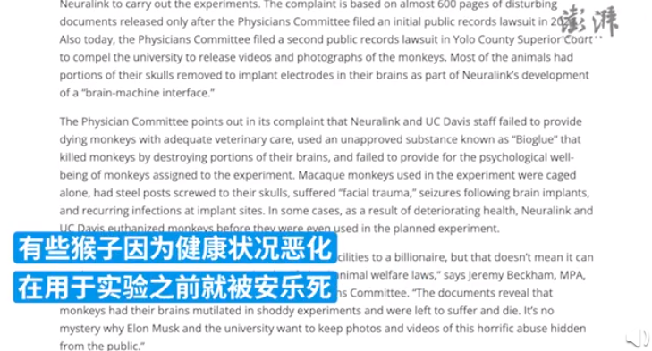 伊隆·马斯克|马斯克公司被爆“虐猴”,23只死了一大半?网友吵翻……