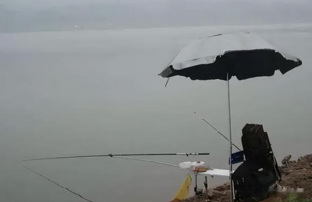 |入伏后,来到水边别下竿!学会3个“技巧”,出钓爆护美滋滋