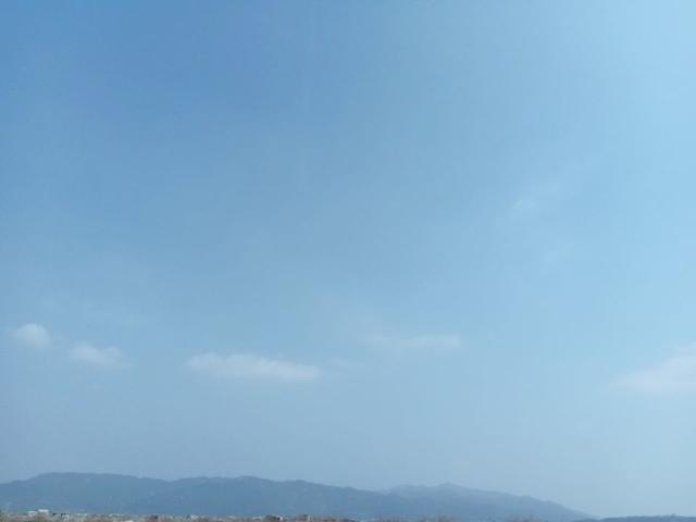 饵料|菜地解封第一战,黄鳍鲷来小爆护