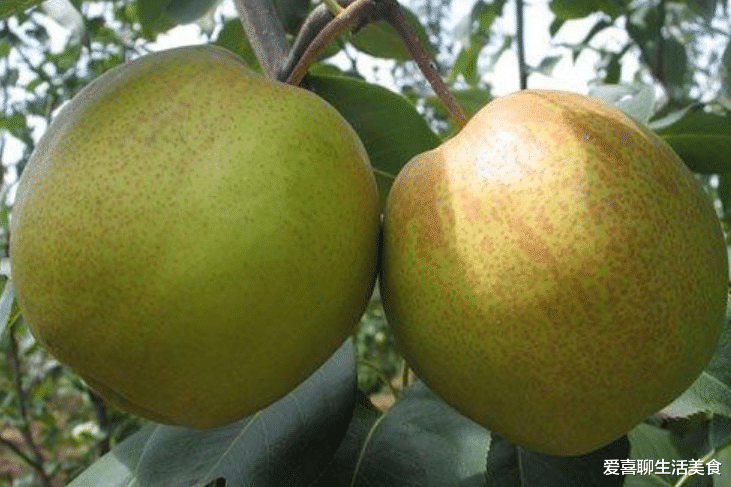 立秋将至,无论男女,记得多吃6种食物,滋阴润肺去秋燥,安稳入秋