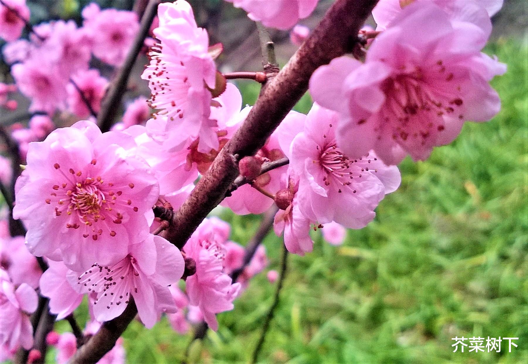 软件|职场说话:与其无话不谈,不如欲言即止