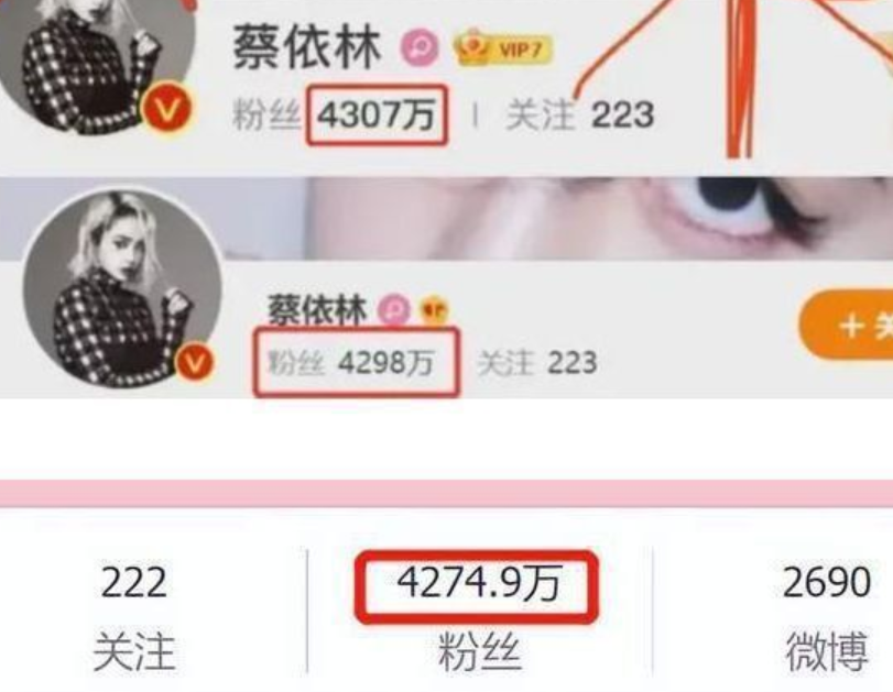 蔡依林|面对争议蔡依林不回应，反而登陆社交账号更改设置，双面人已坐实