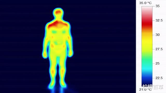 阴毛、腋毛和头发,人类在进化中为何保留了这几个部位的毛发?