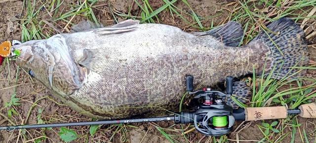 |不要命的垂钓人!直接下到水中遛大鱼,结局出乎大家的意料