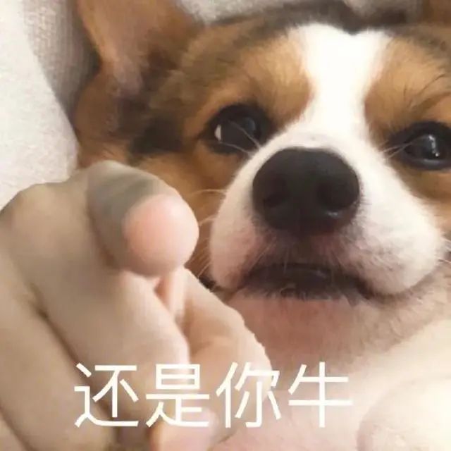 职场故事|在职场和同事交朋友，你好像试图垃圾堆淘金