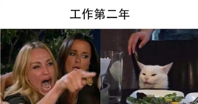 |打工人用梗图形容5年的“成长”，面对领导批评，这不就是我本人