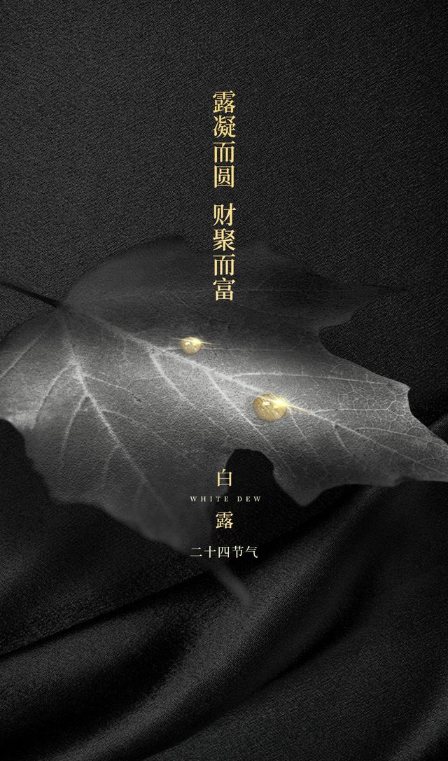 白露图片配图唯美高清带字大全,白露朋友圈问候语文案句子