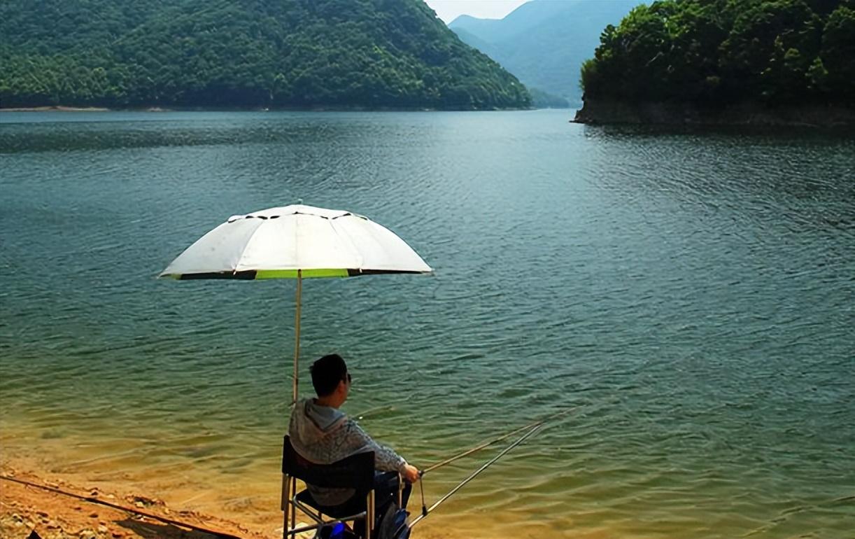 饵料|夏季钓鱼,“4钓4不钓”,任何水面都能爆护,大鱼连竿不是问题