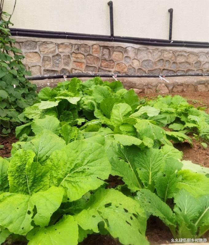 幽谷神潭|北京怀柔幽谷神潭家圣乐农家院,10年老店,住宿含三餐仅需150