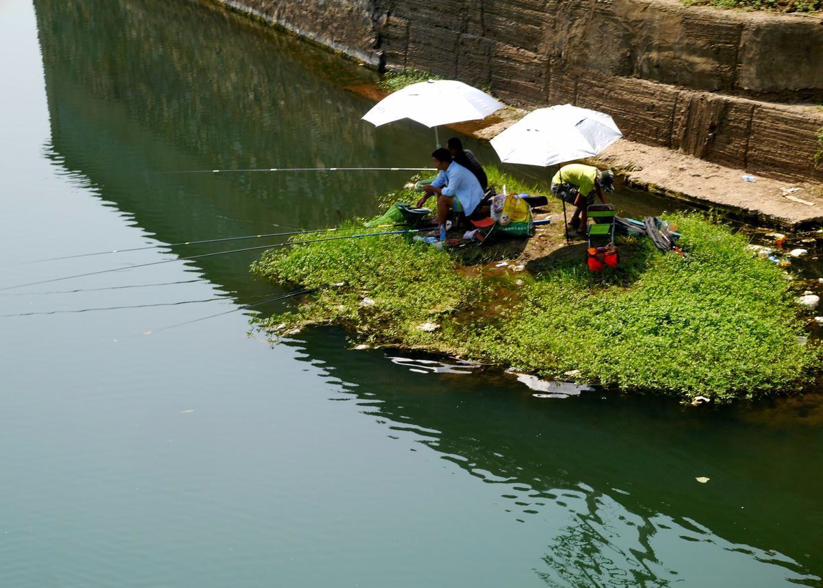 |春钓用鱼竿，到底用长竿好还是用短竿好，不妨参照这两个因素