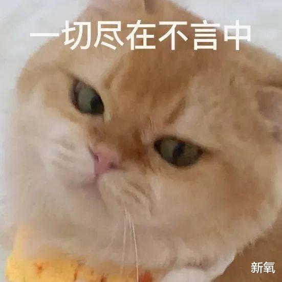 多巴胺|一吻翻红！朴敏英的《月水金火木土》甜疯了，一场吻戏直接鲨到