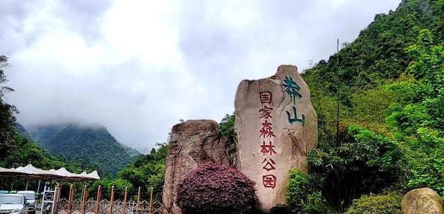 一条就价值100万？中国特有毒蛇小青龙，为何总遭国外“惦记”？