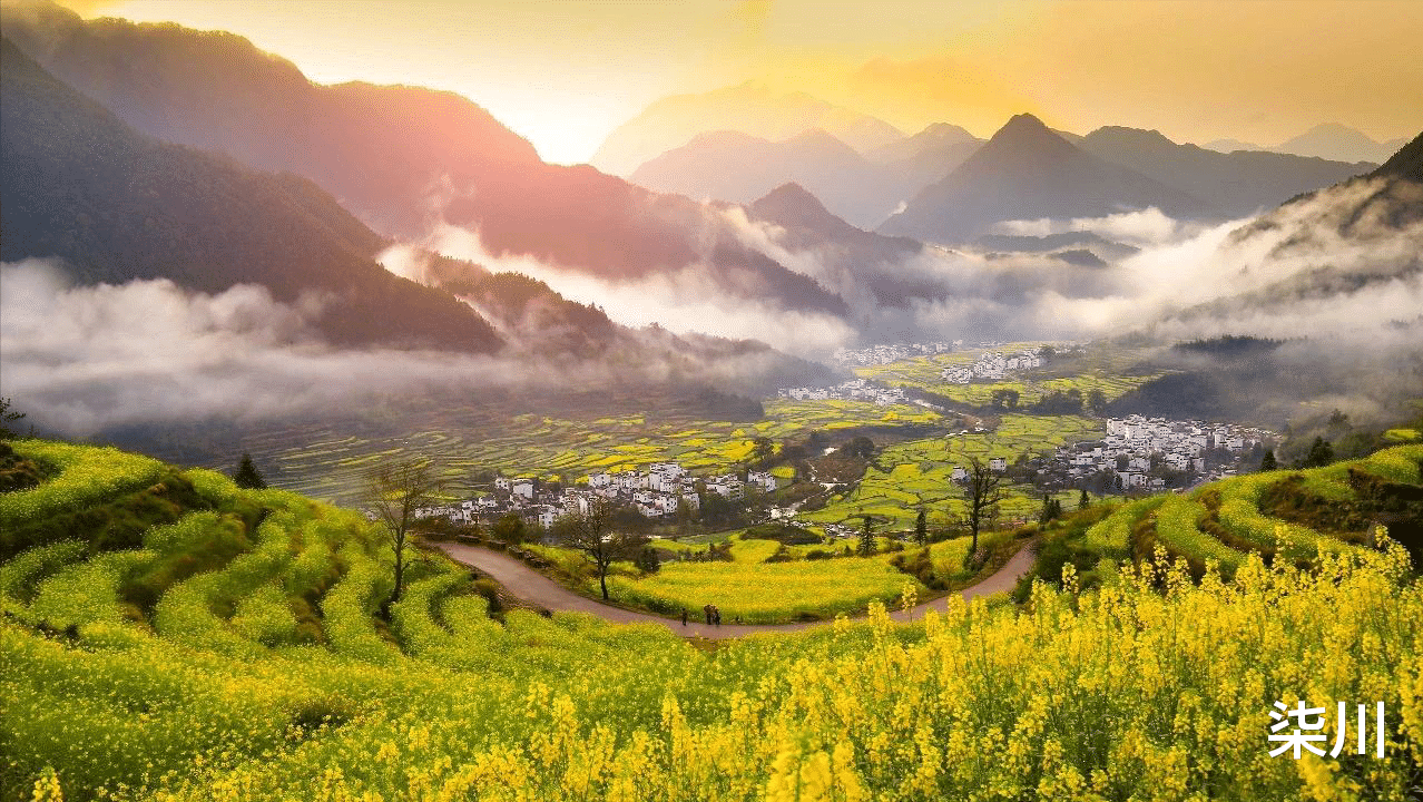油菜花|美极了!这个春天一定要去的10个私藏的国内春日赏花处!赶紧收藏!