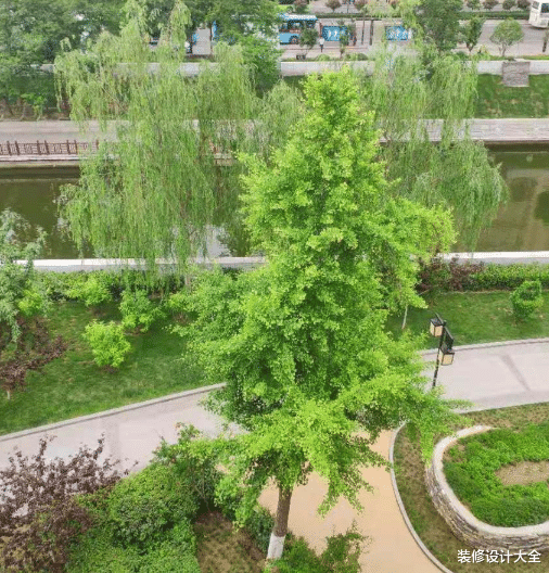 爸妈的养老房,装修花了9W!亲戚前来串门,都说钱花的超值!