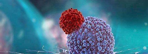 癌细胞能被杀死?科学家:针对于癌症的疫苗,或将在2030年前问世